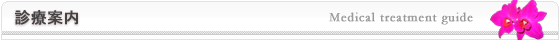 診療案内