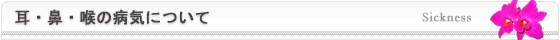 耳・鼻・喉の病気について